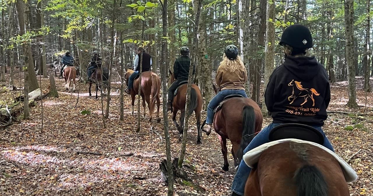 Horseback Riding & Countryside Tours with Blazing Trail Rides