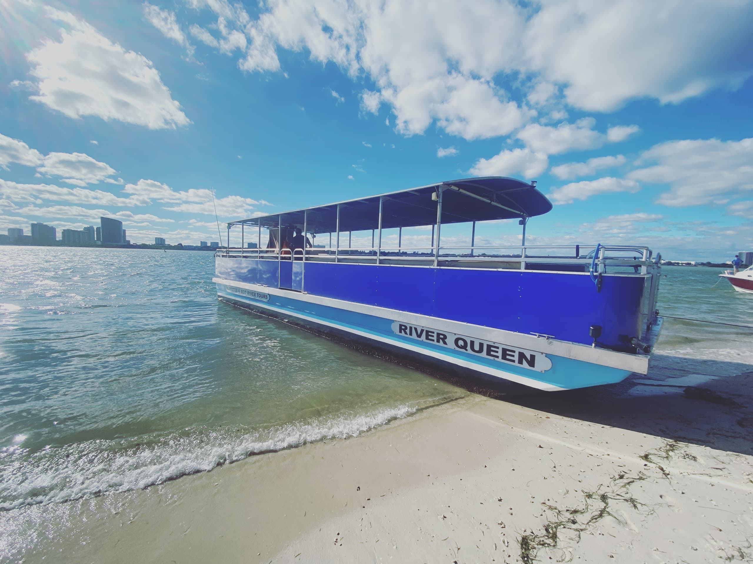 Blue river tour boat beached on sandy shore under sunny sky
