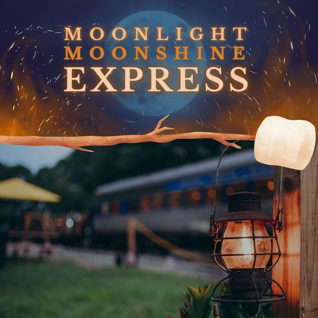 Moonlight Moonshine Express Train Ride by Saratoga Corinth & Hudson Railway