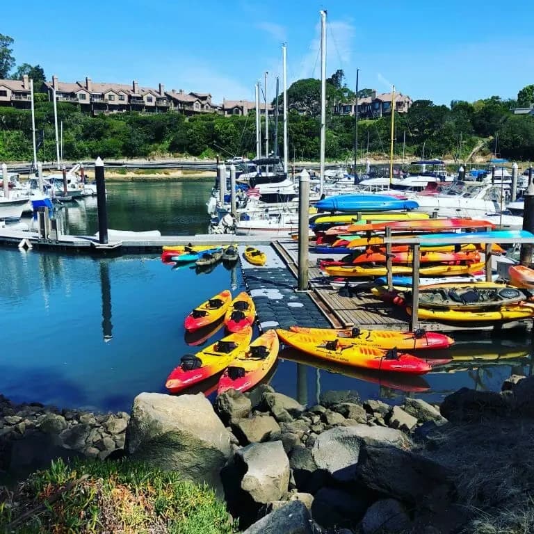 1-Hour Harbor Rentals: Kayaking in Santa Cruz, CA