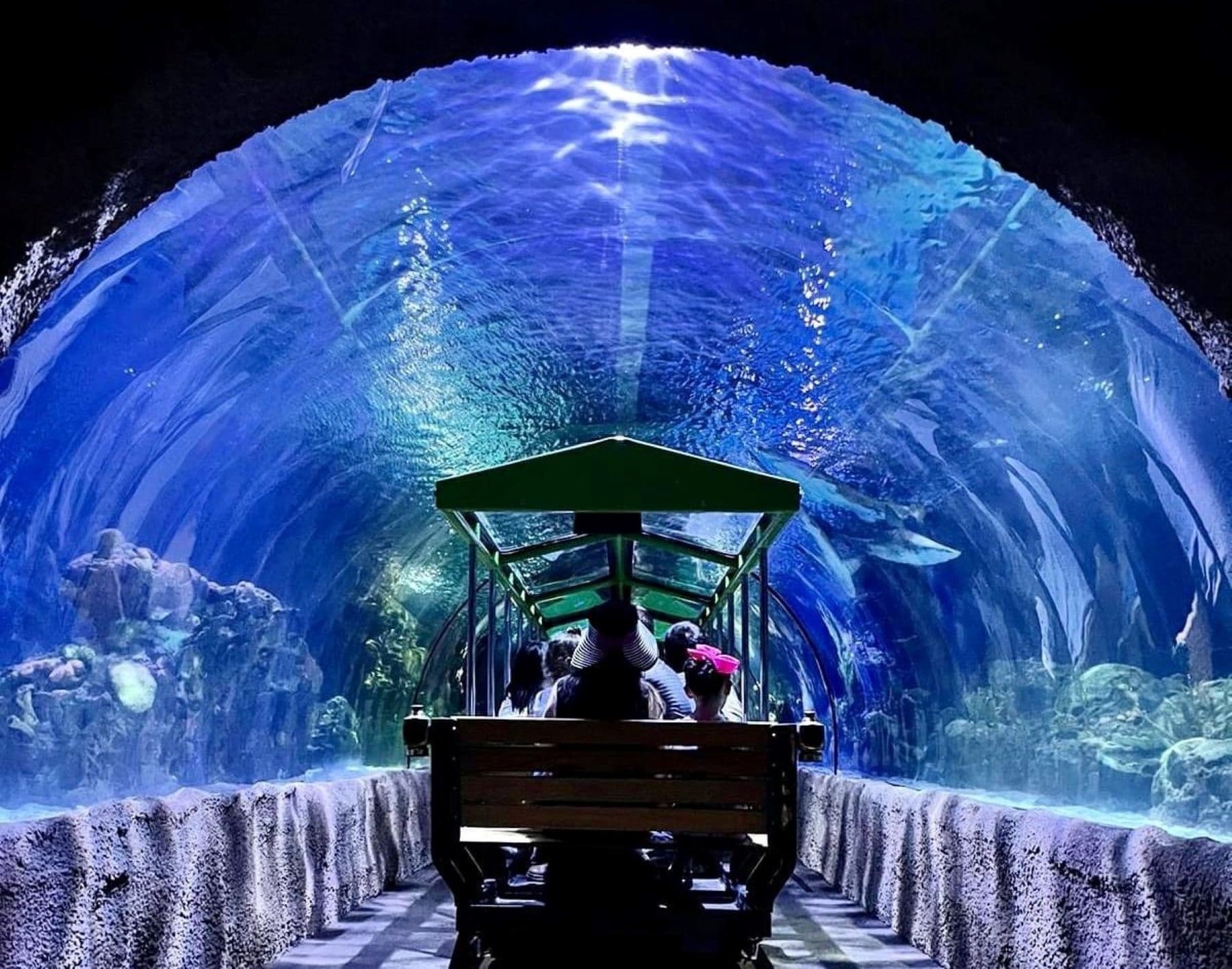 Water Activities at Downtown Aquarium Houston, TX