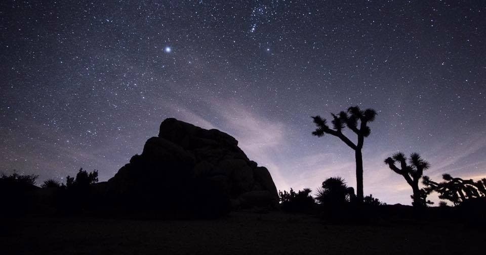 Joshua Tree Excursions team