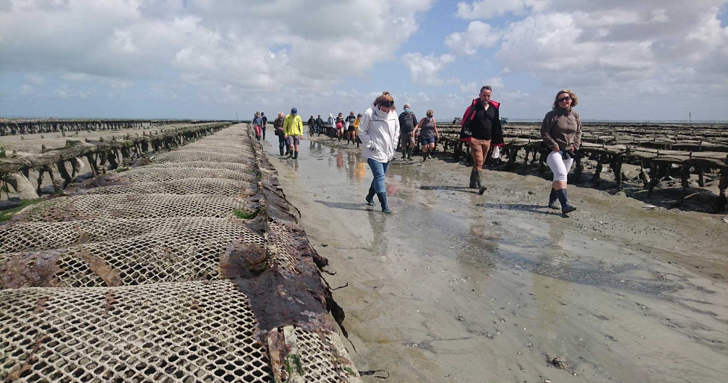Oyster Farm Walking Tour with Farm Experiences & Tours in Cancale