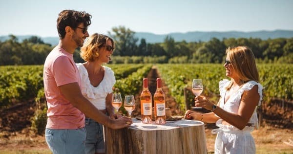 Provence Sommelier Workshop by Farm Experiences & Tours