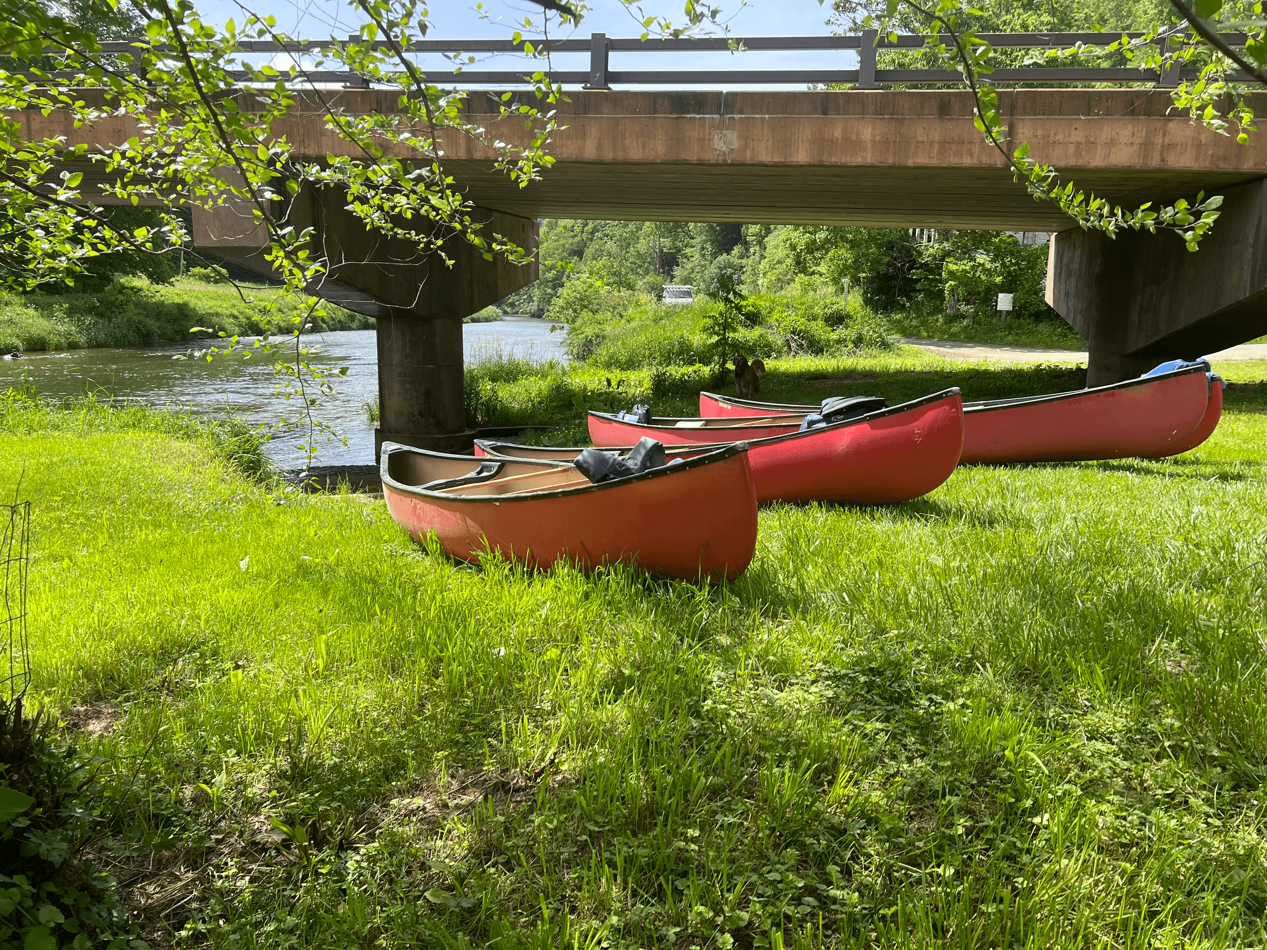 Water Activities with River & Earth Adventures in Boone