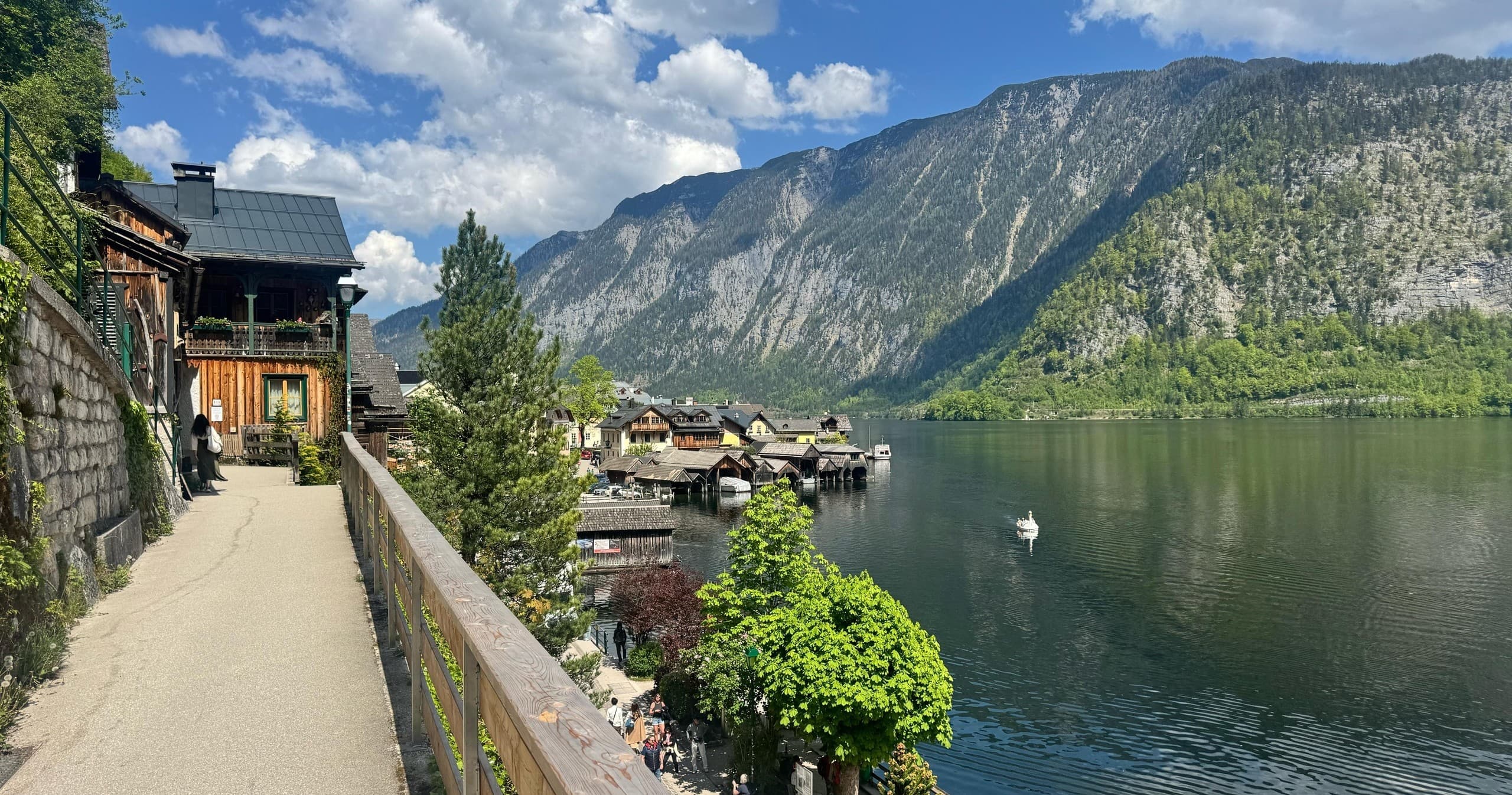 Seamless Transfer to Hallstatt with Bob's Special Tours
