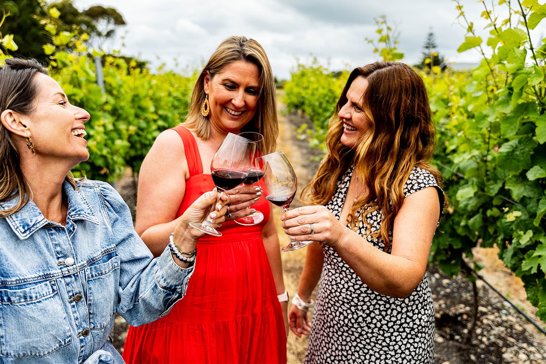 Hawke's Bay Wine Tour | Hawke's Bay Experiences Napier