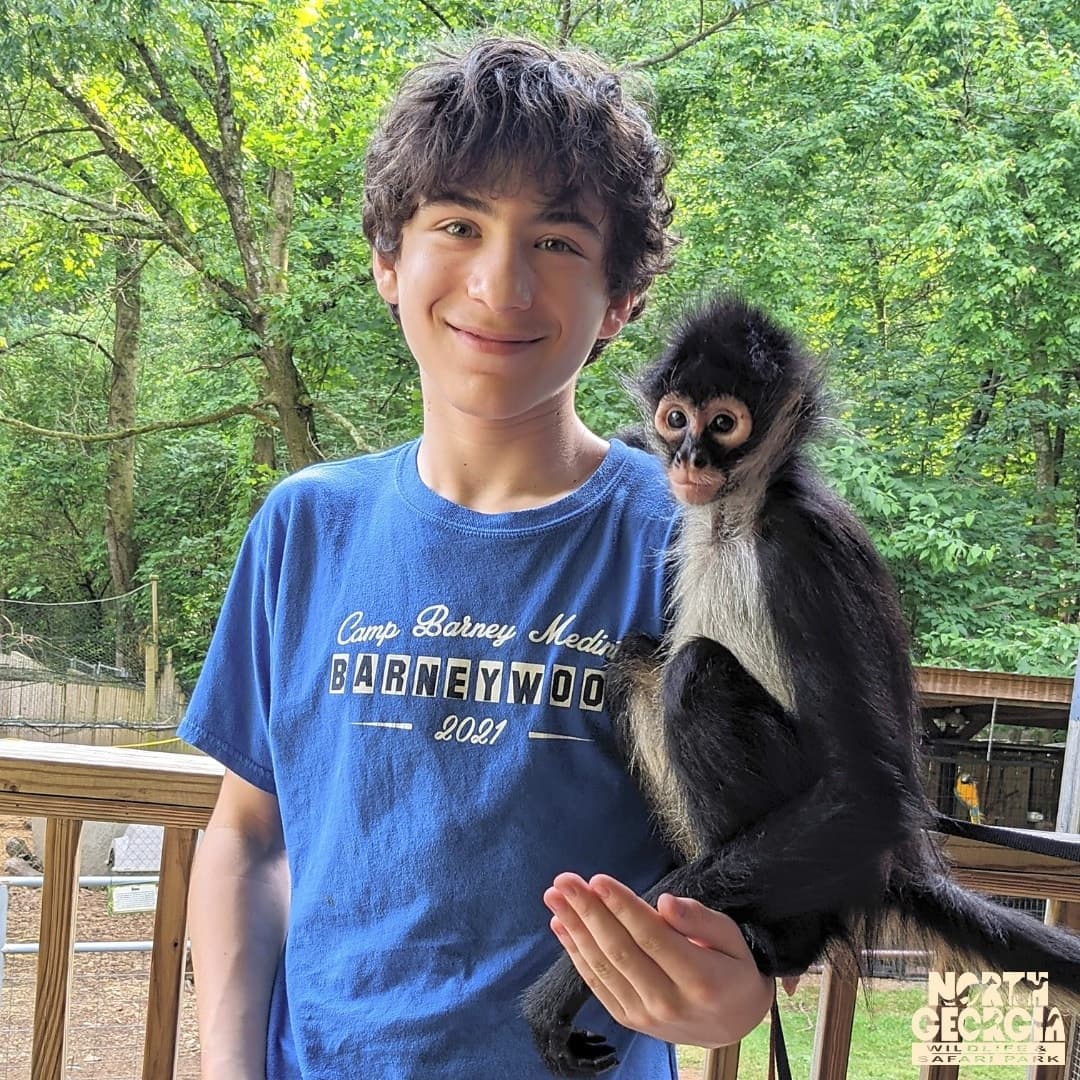 VIP Wildlife Park Tour in Cleveland, Georgia