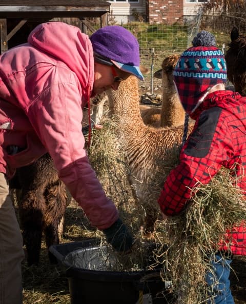 Gold-Level Alpaca Meet & Greet in Princeton, MA — Up-Close Experience photo 2