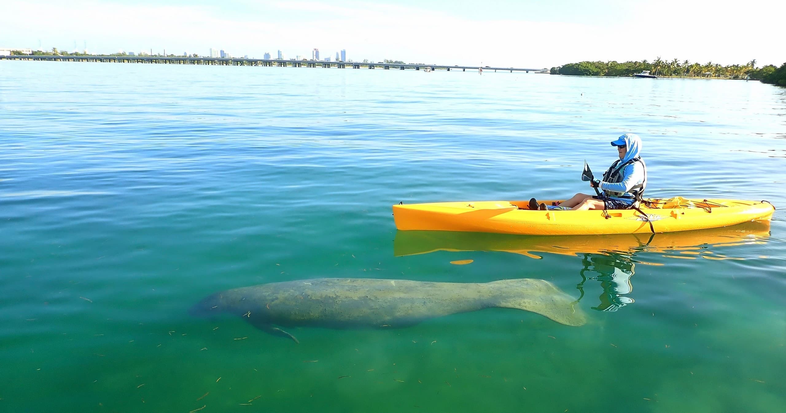 Kayak Eco Adventure with Salty Soul Adventures in Miami