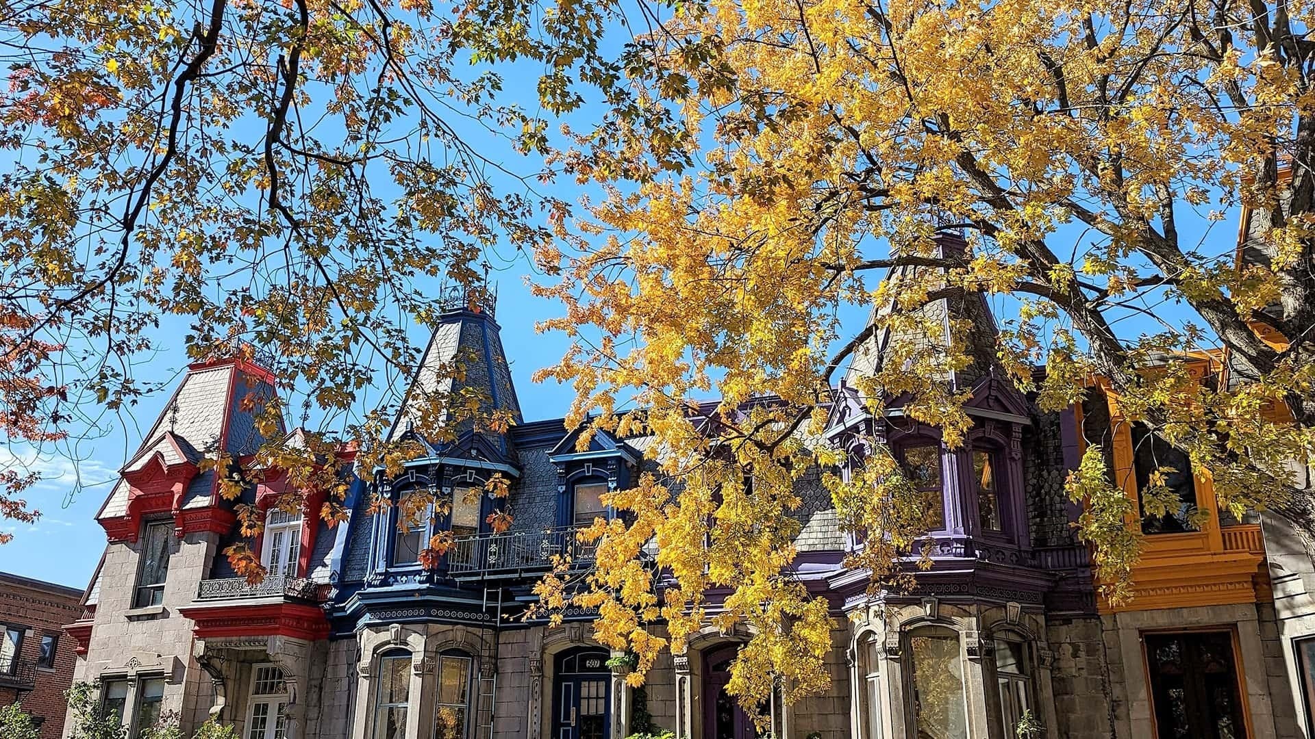 Plateau Mont-Royal & Mile End: A 3-Hour Walking Tour of Montreal's Creative Core photo 2