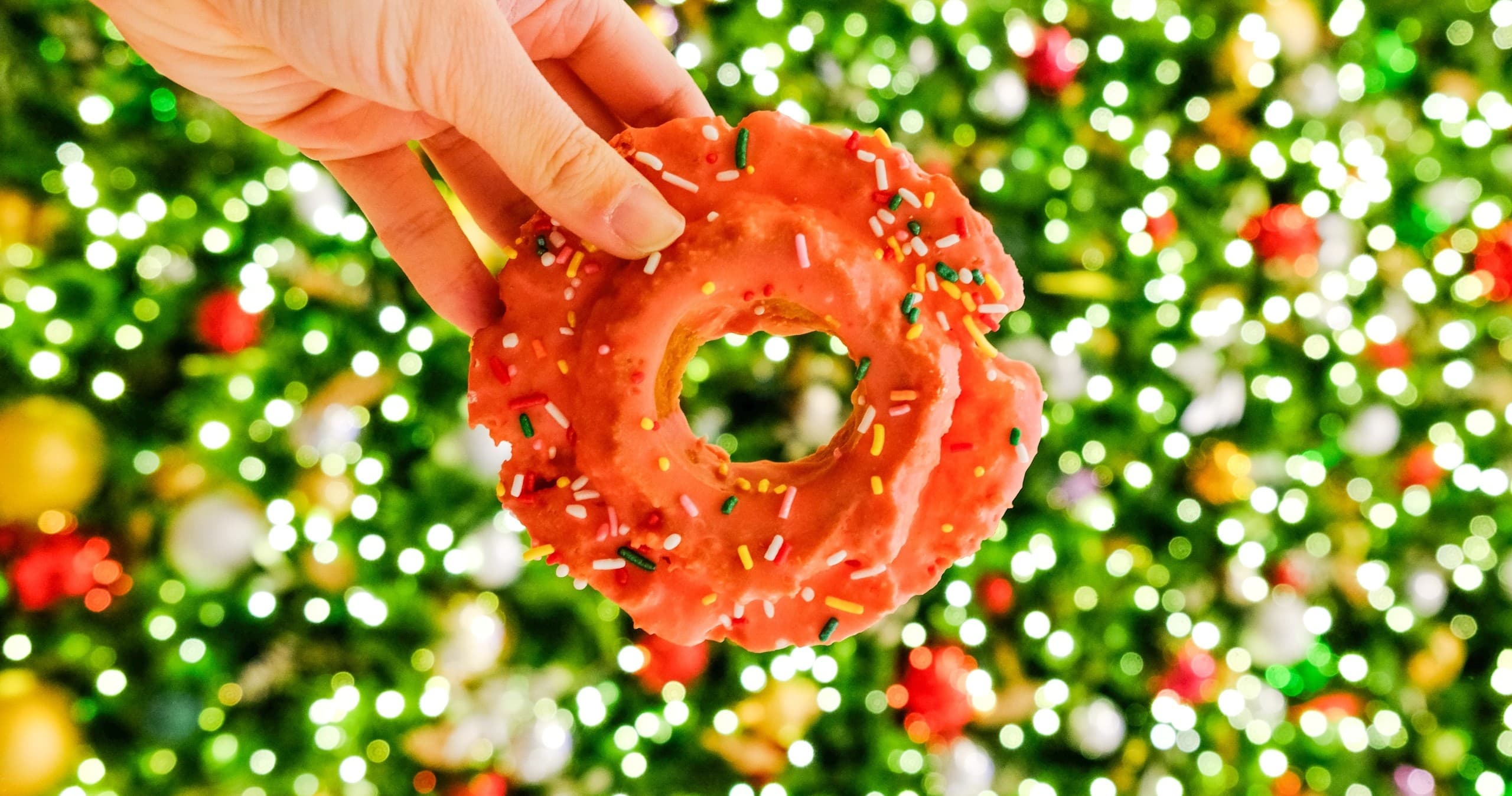 Washington DC Holiday Donut Tour: A Festive Culinary Adventure Through History