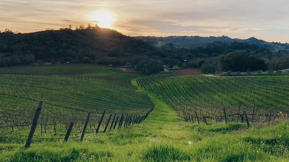 Wine Country & Land Adventure at Alexander Valley