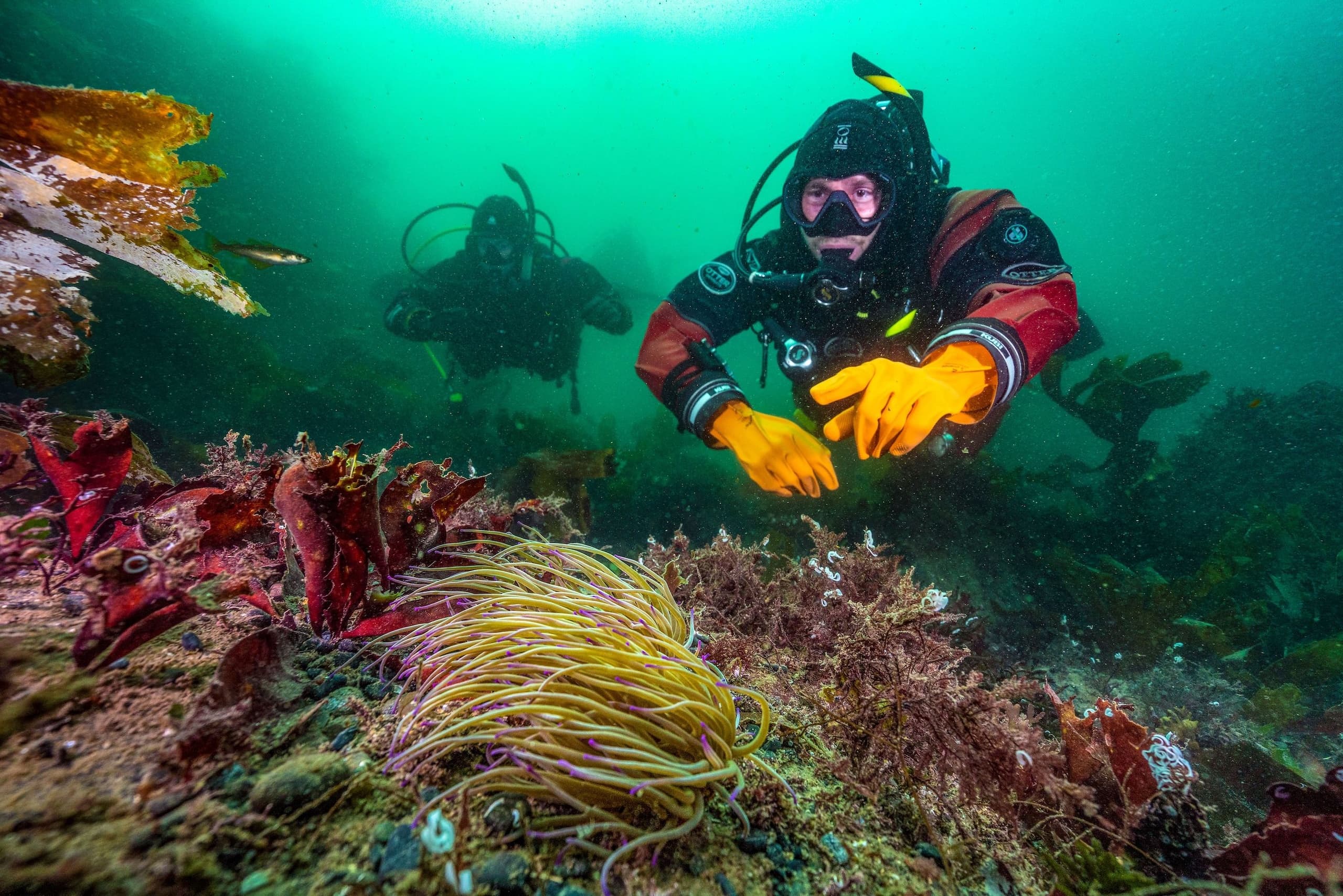 Aquarius Dive Shop team