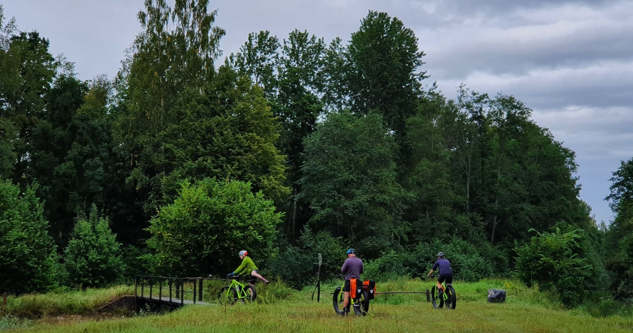 Group of cyclists riding through lush forest meadow on tour