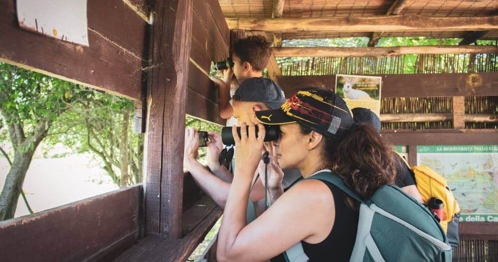 Explore Torre Flavia Wetland: Seasonal Birdwatching Adventures on Italy’s Tyrrhenian Coast
