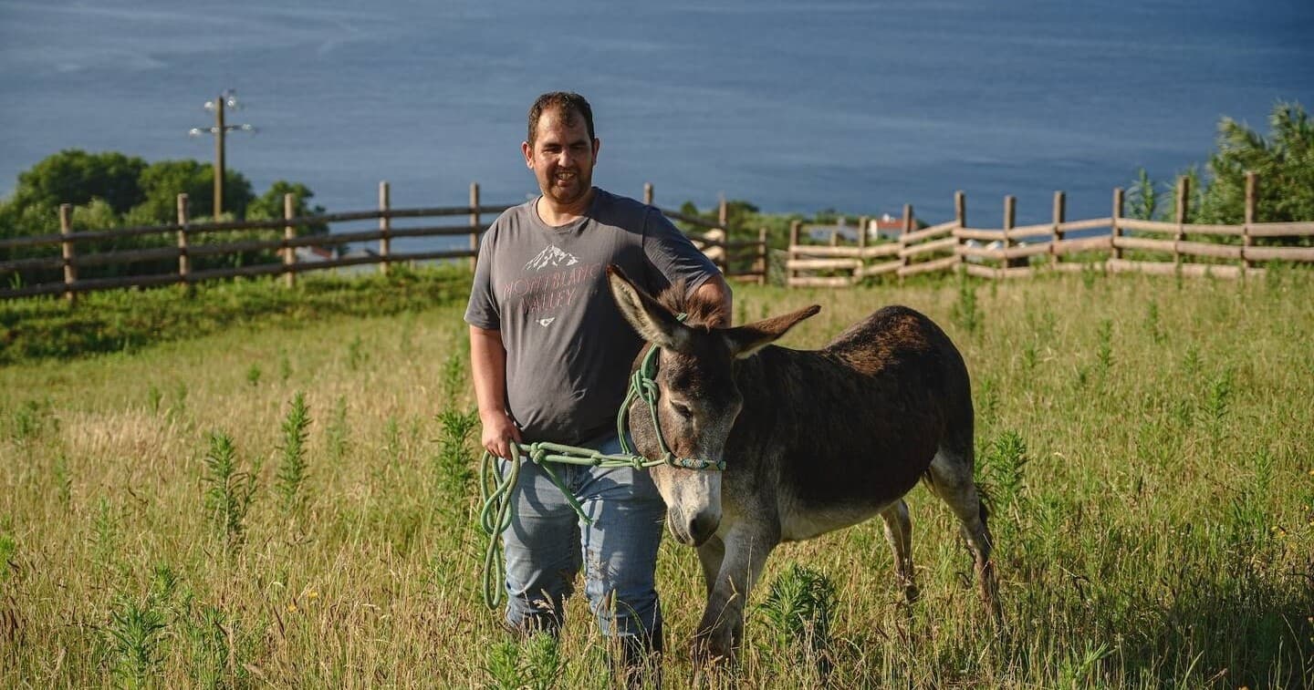 Animal Care & Rescue at Agua De Alto Donkey Association
