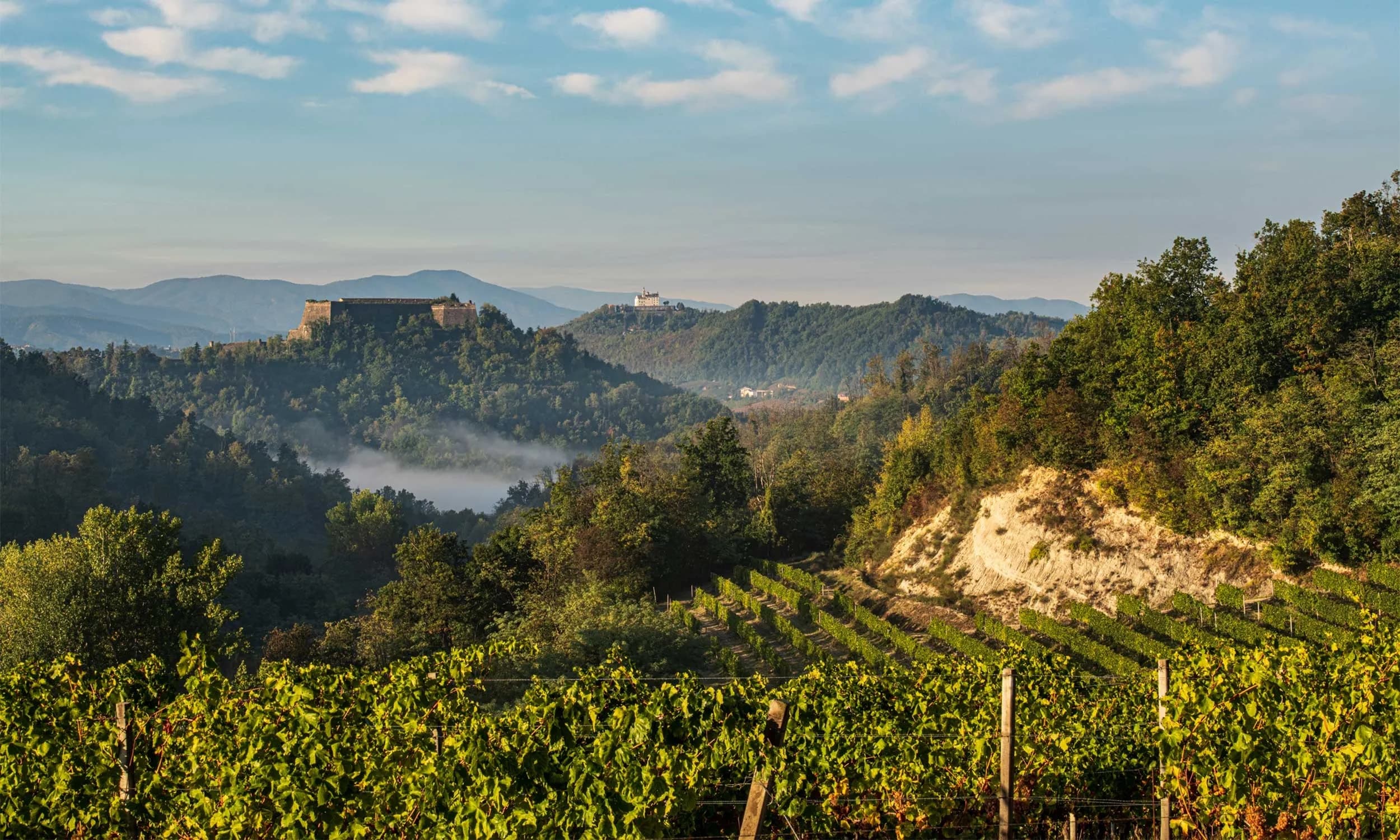 Land Adventures at La Mesma Winery in Gavi