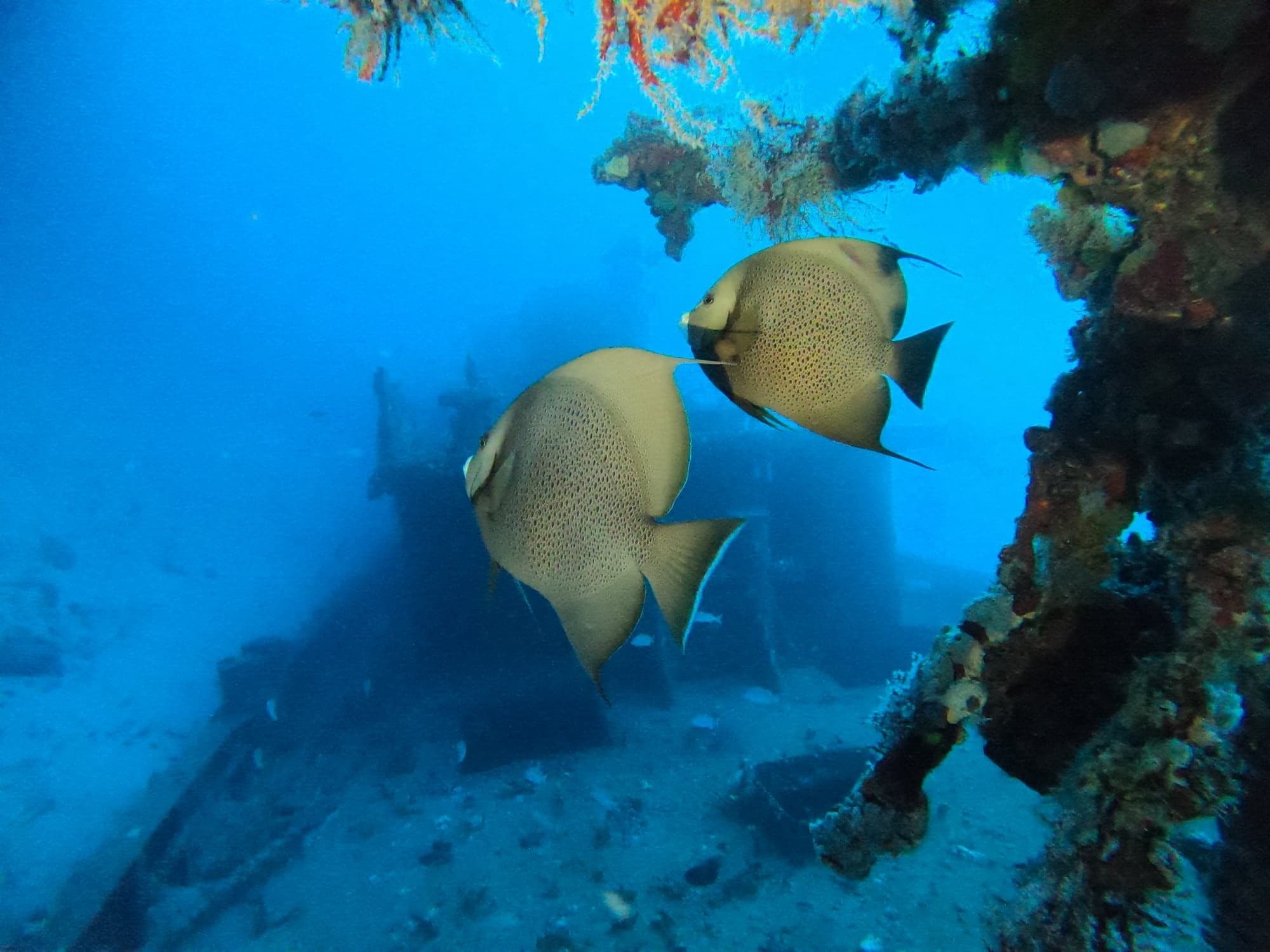 Whole Other World Scuba LLC fleet
