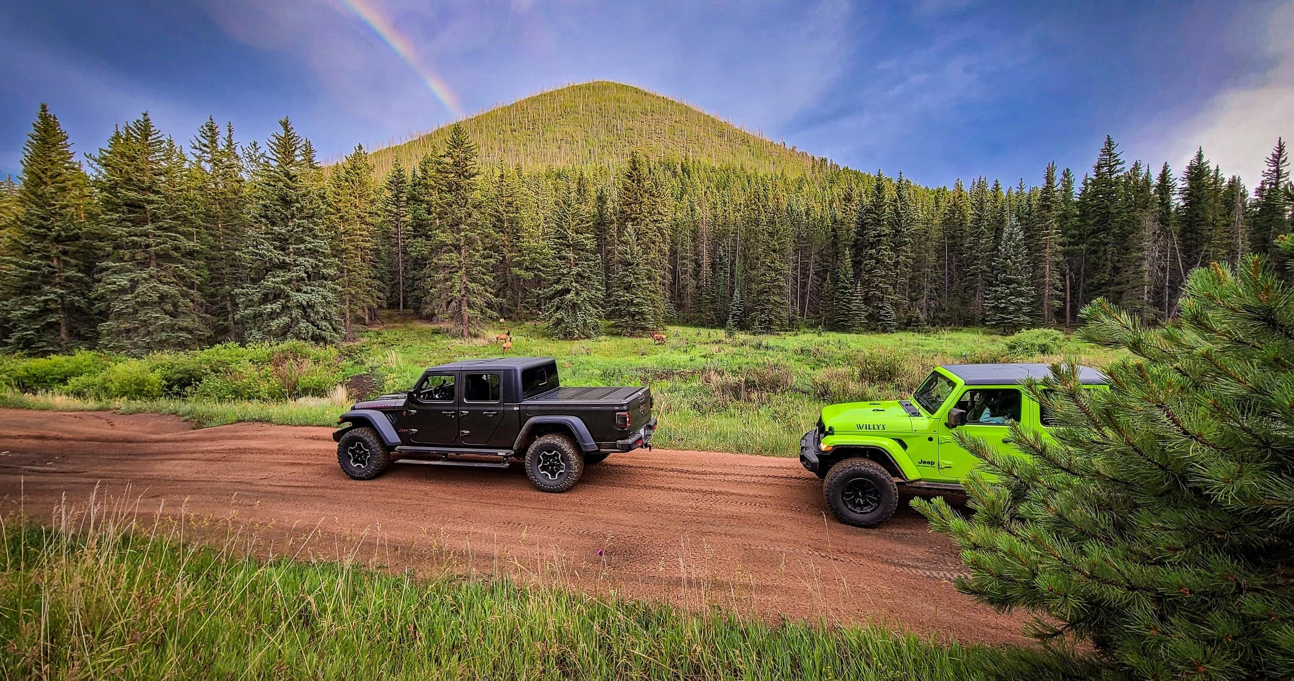 Land Adventure with Great Outdoors Adventures