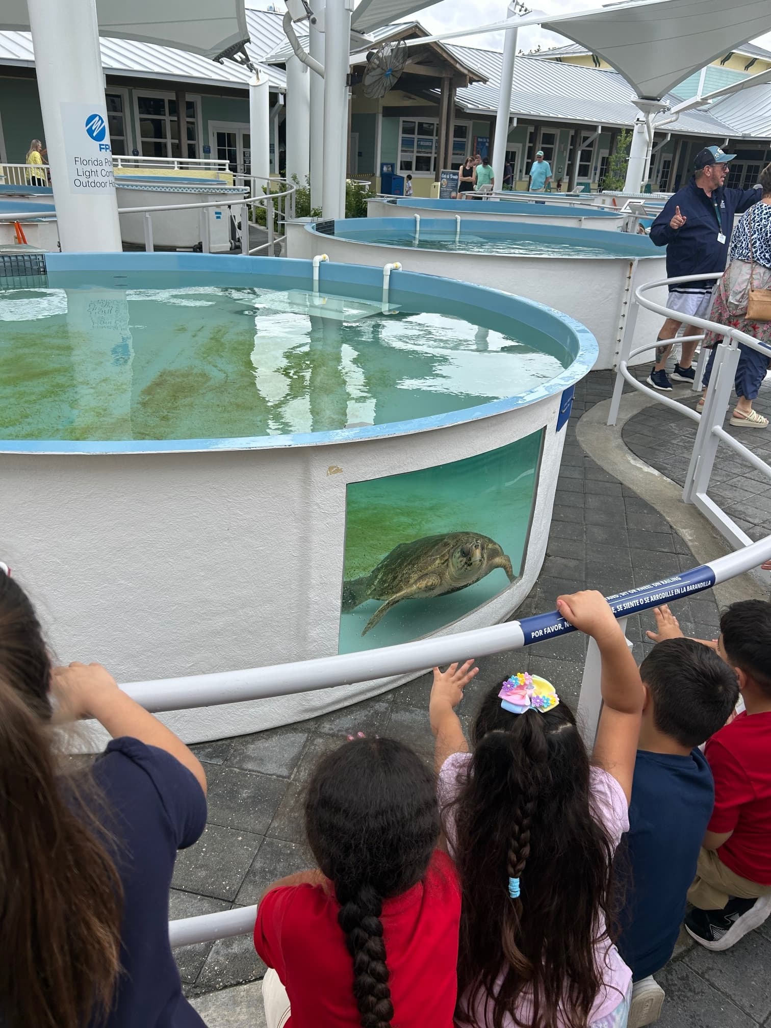 Hands-On Sea Turtle Rehabilitation at Loggerhead Marinelife Center in Juno Beach photo 2