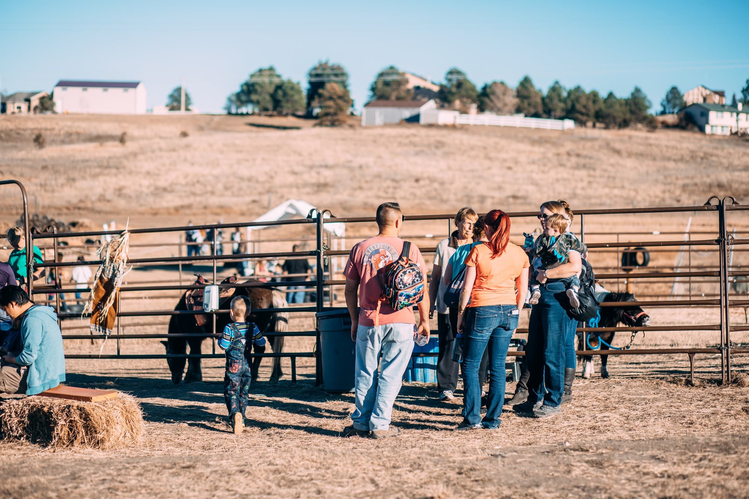 Monument Colorado Pumpkin Patch: 40-Acre Fall Farm Adventure for Families