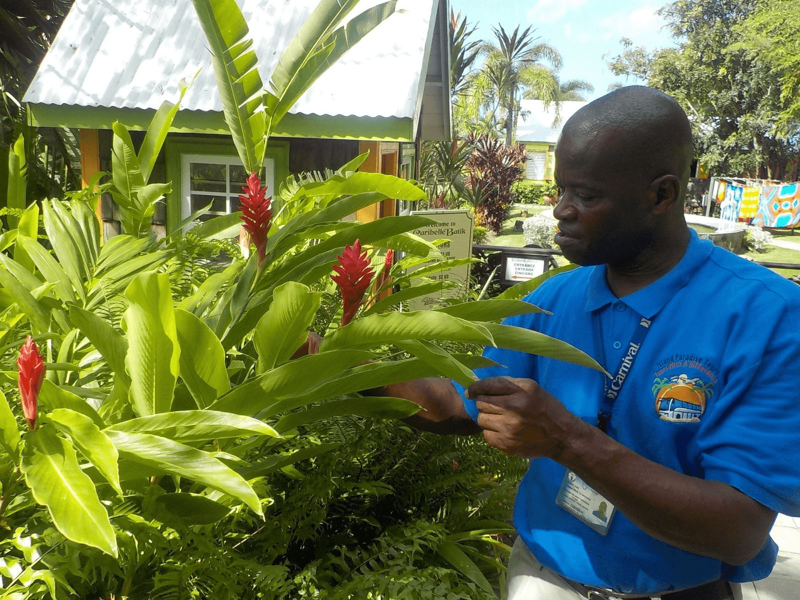 Plantation and Beach Extravaganza: Basseterre History, Romney Manor & Timothy Hill Views photo 3