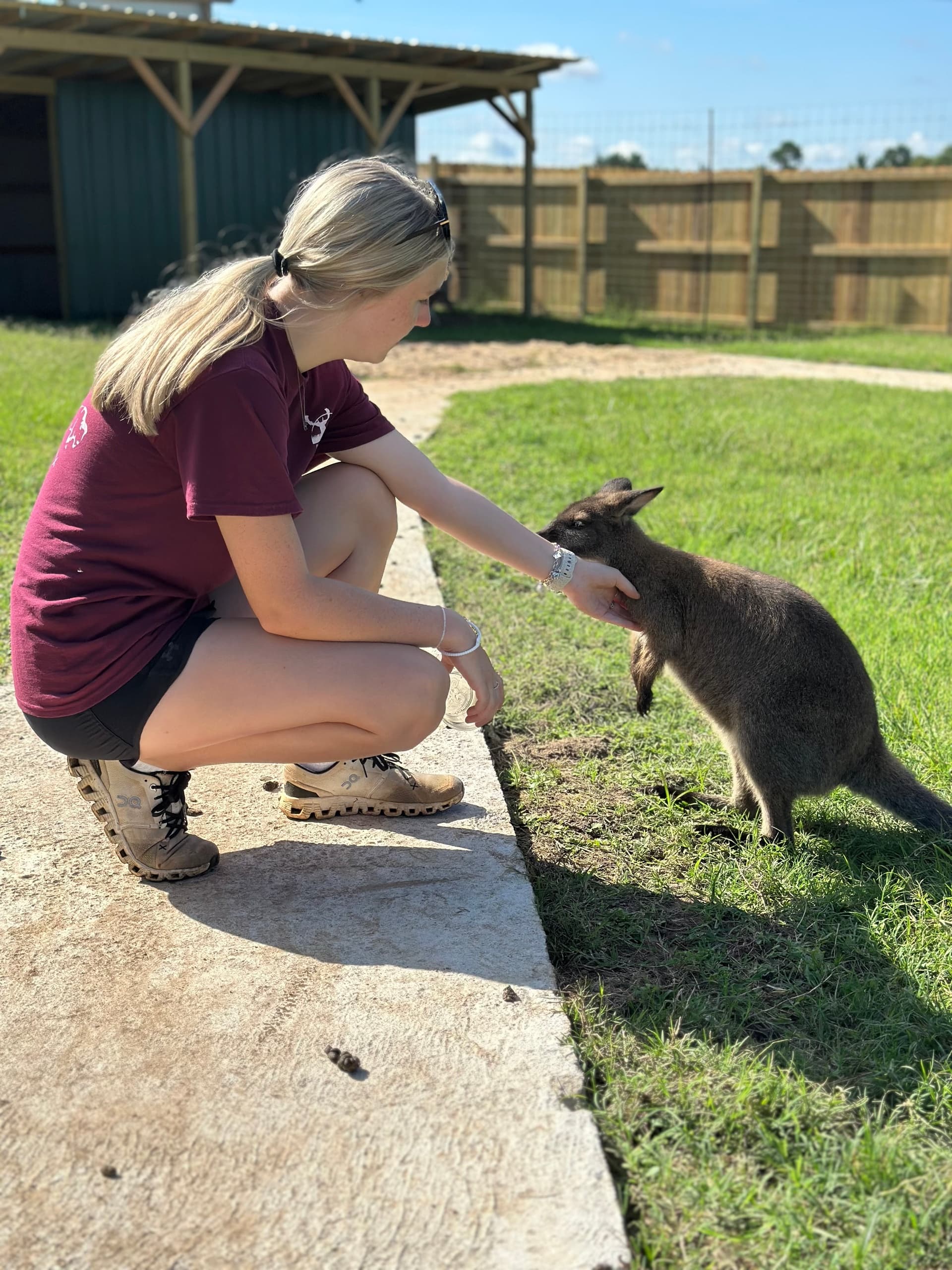 Experience the Australian Walkabout: Feed Kangaroos and Wallabies in Jefferson, Texas