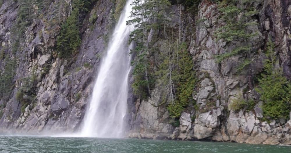 Wildlife & Waterfalls with Campbell River Adventure Tours in BC