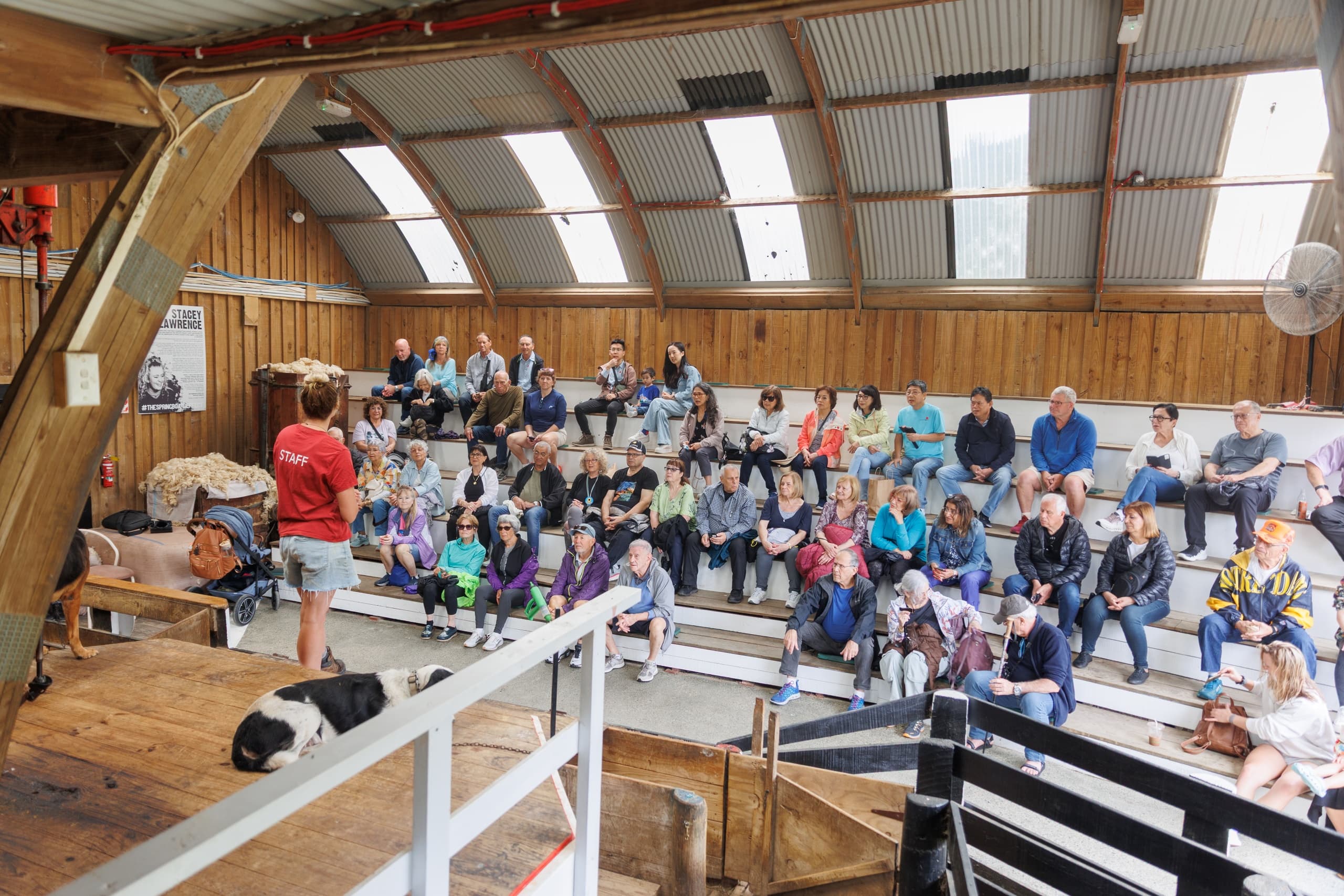 Crowd seated for sheep show demonstration inside rustic farm arena