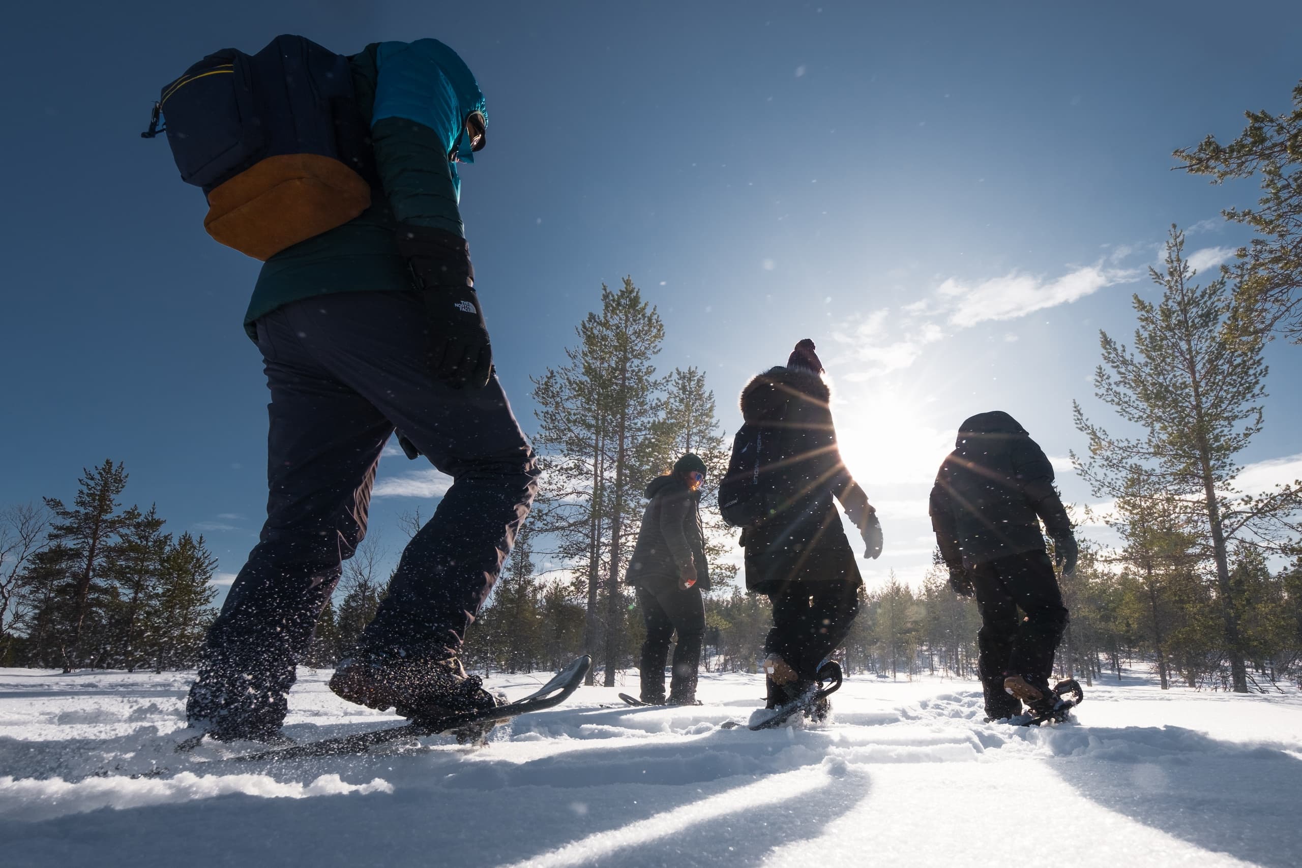 Winter Wilderness & Gold Mine Tours with Wilderness Hotel - Saariselkä