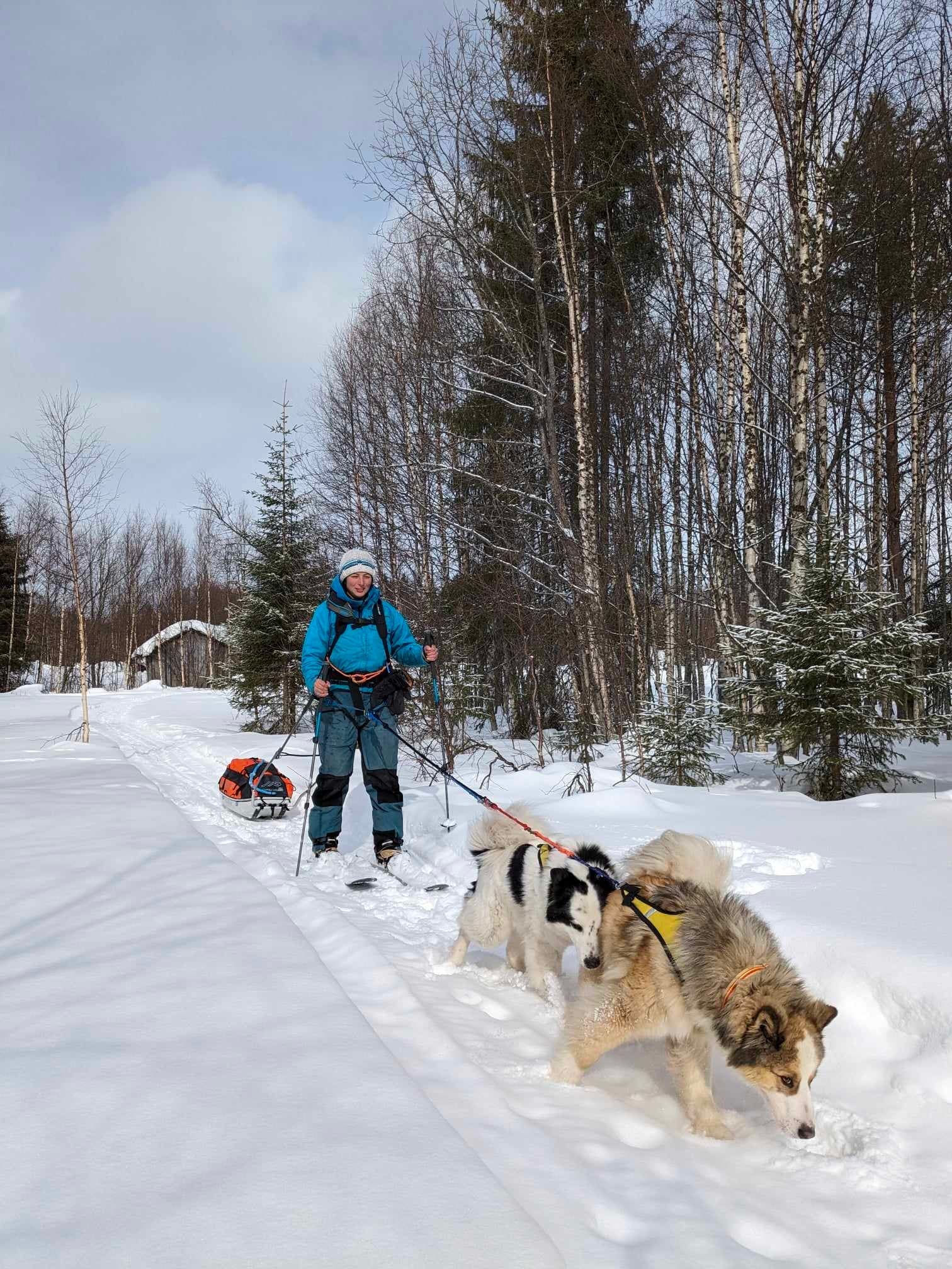 Traverse Lake Kitka on a 2-Day Ski-Pulka Adventure with Cozy Cabin Stay