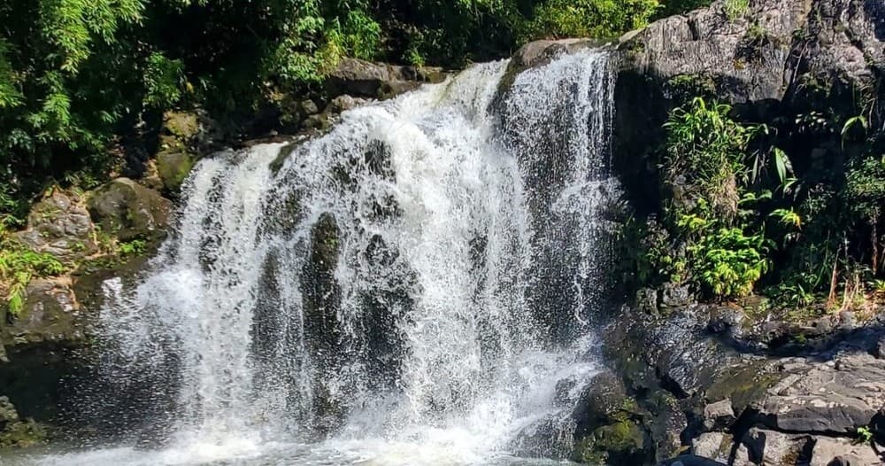 Small tropical waterfall cascading over mossy rocks in forest