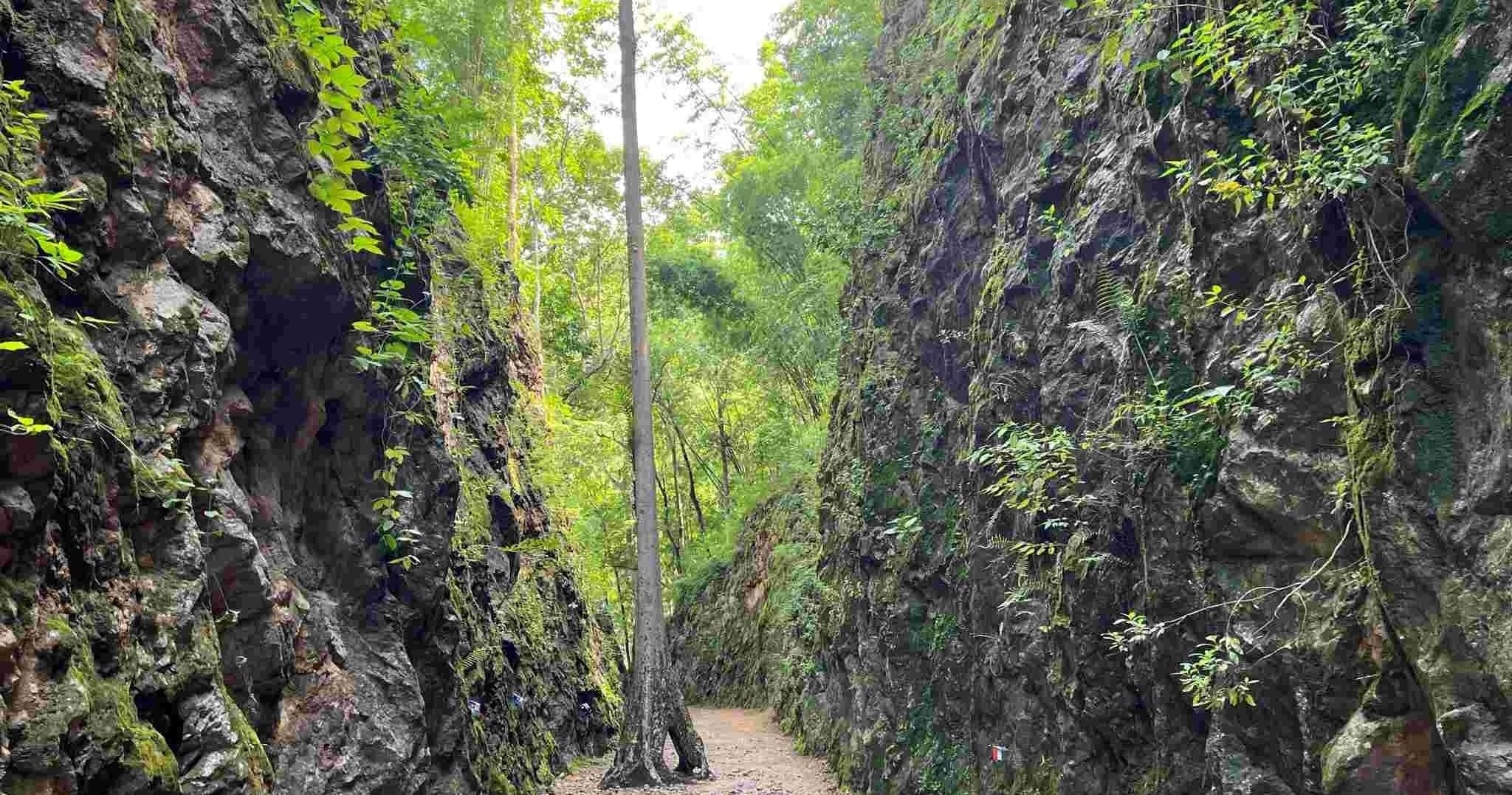 Historic War Tours’ 1-Day Hellfire Pass Adventure from Sandakan