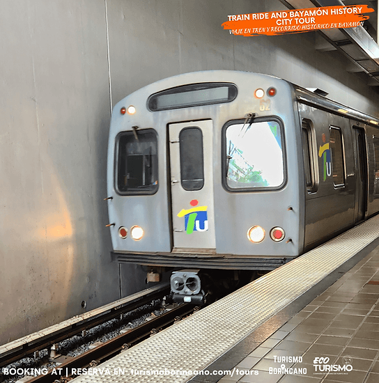 Rails to Roots: Bayamón Train Ride & History City Tour from San Juan