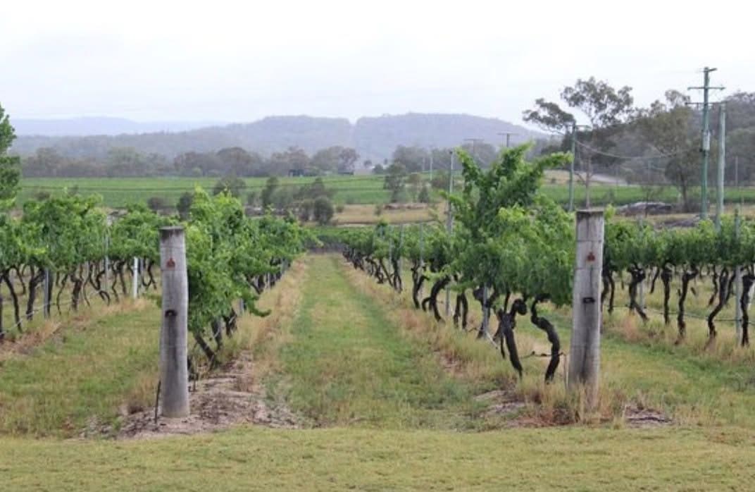 Heritage Train to Granite Belt Wineries: Warwick to Stanthorpe Day Tour photo 1