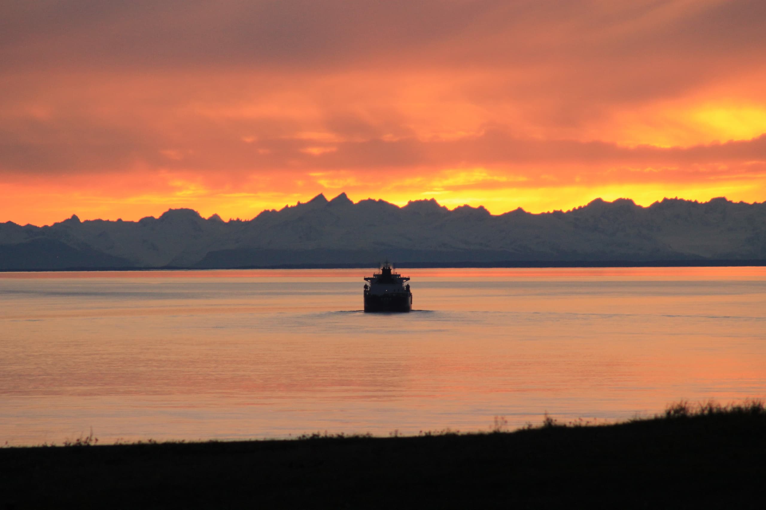 Explore Anchorage’s Winter Wildlife and Sunset on the Ultimate Turnagain Arm Tour