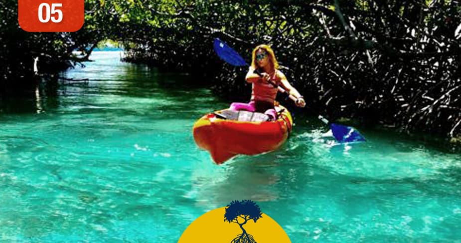 Parguera Eco Tours & Bio Bay fleet