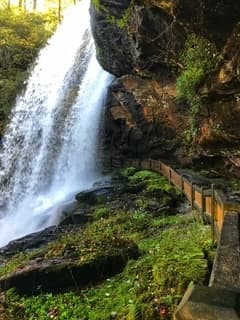 TP's Day Trip Adventures, LLC team
