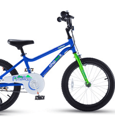 Child 18" Bike Rental in Union Pier, Michigan