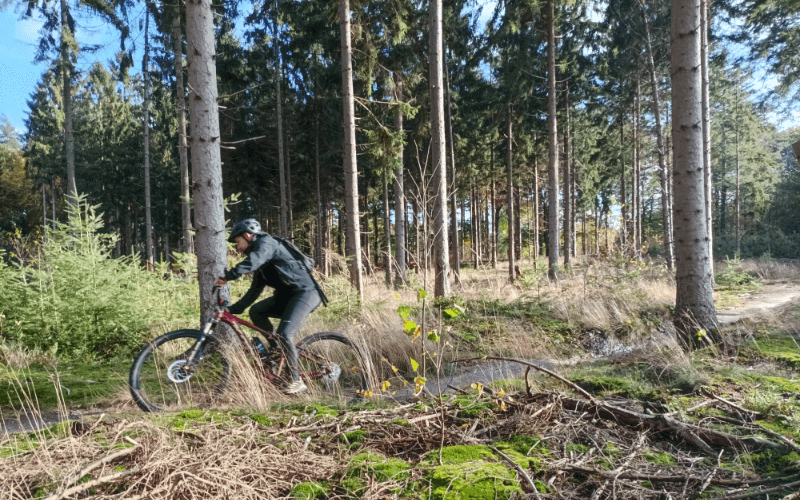 Mountain Biking Adventure at 3 Uren in Hilversum