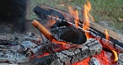 Campfire burning logs at an outdoor campsite evening fire