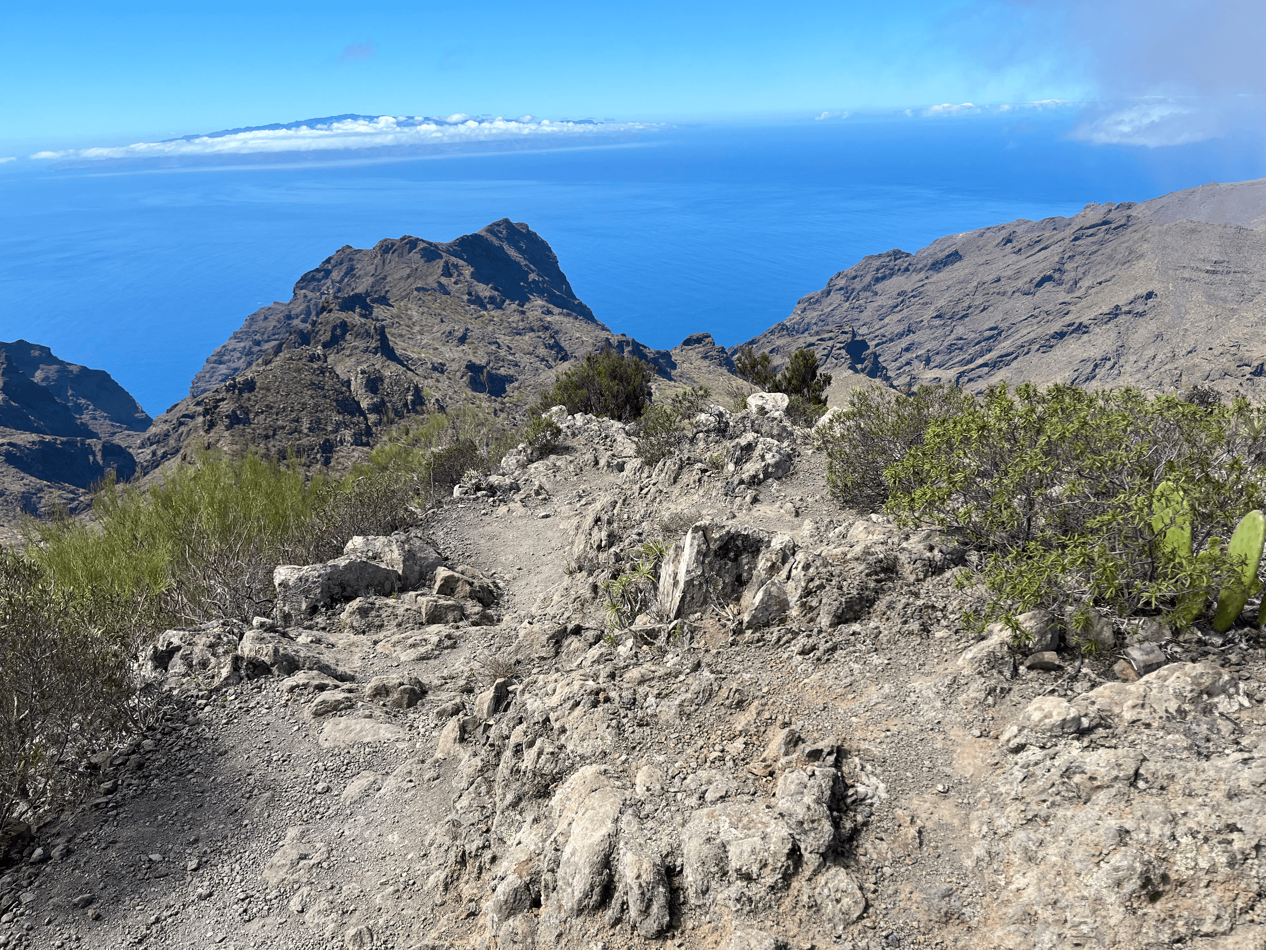 Exploring Tenerife’s Volcanic Trails: Volcanoes, Vineyards, and Laurisilva Forest Hike