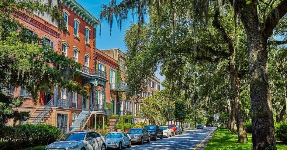 Land Adventures in Savannah: Guided Day Trip with Silver Oak Transportation