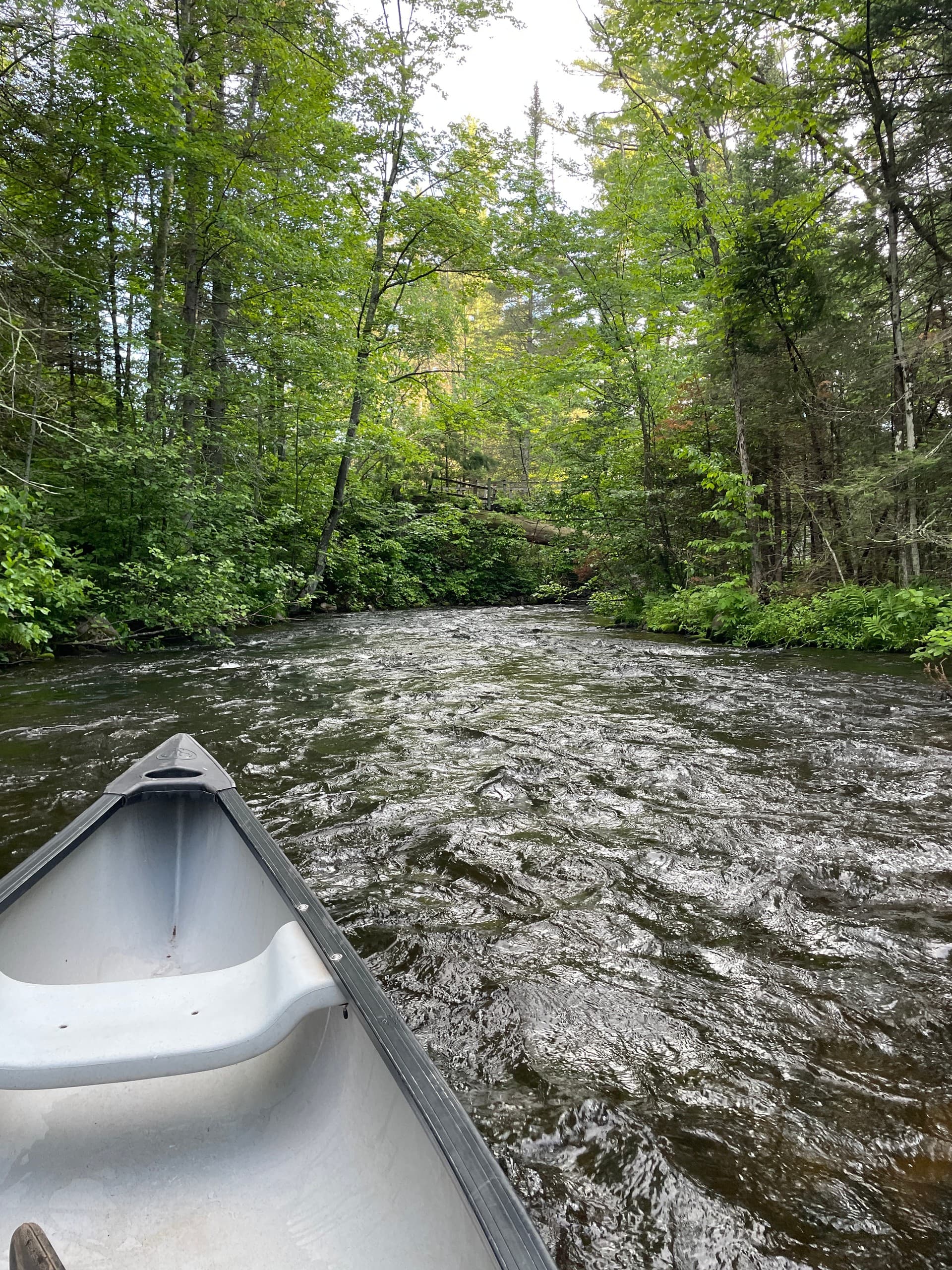 Winneboujou to Brule: 4-Mile Brule River Float Through Pines and Rapids photo 4