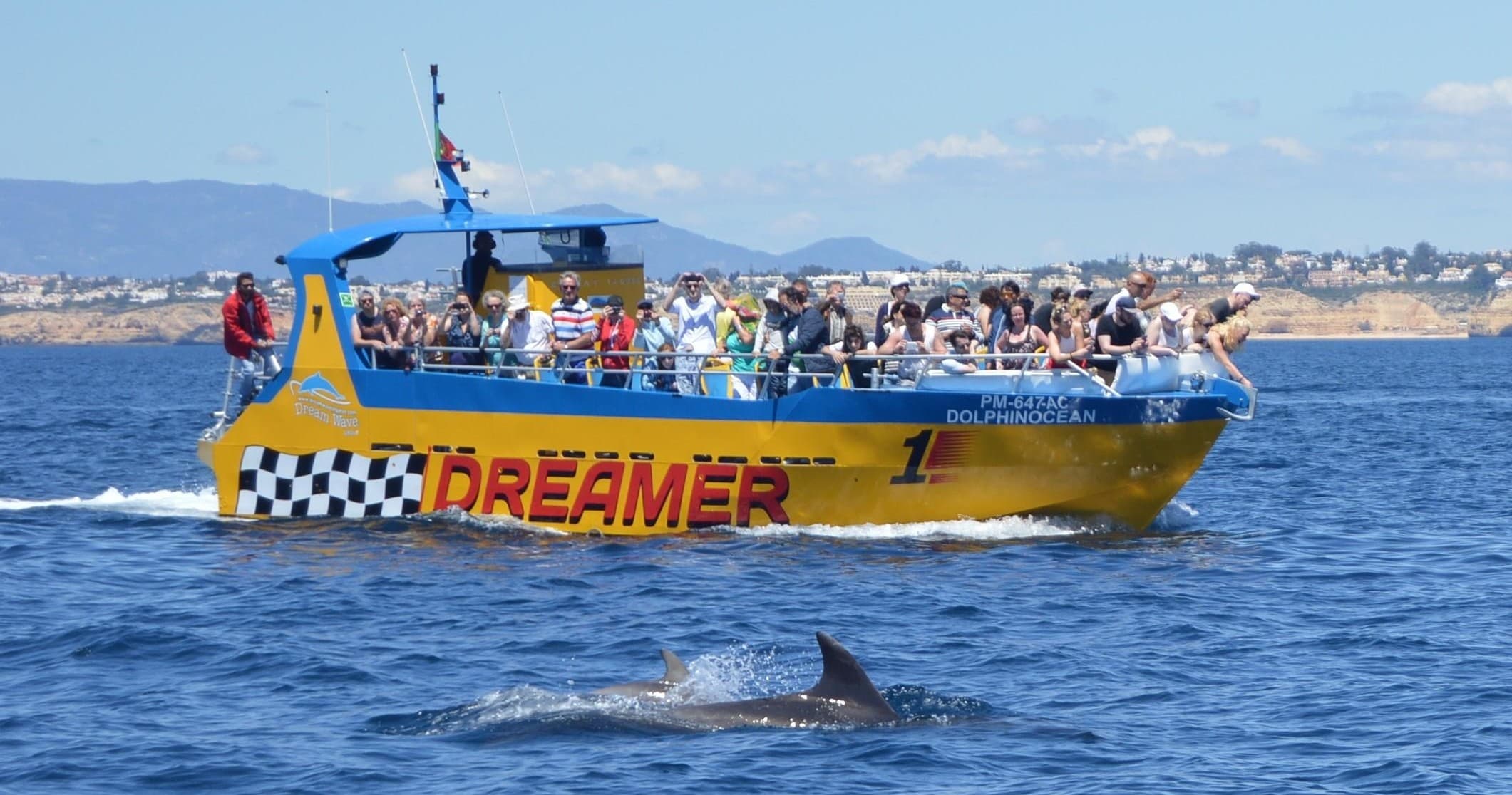 Crowded dolphin-watching tour boat with dolphins off the Algarve coast