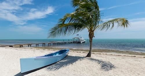 Explore Key West’s Island & Nature Tour by Boat
