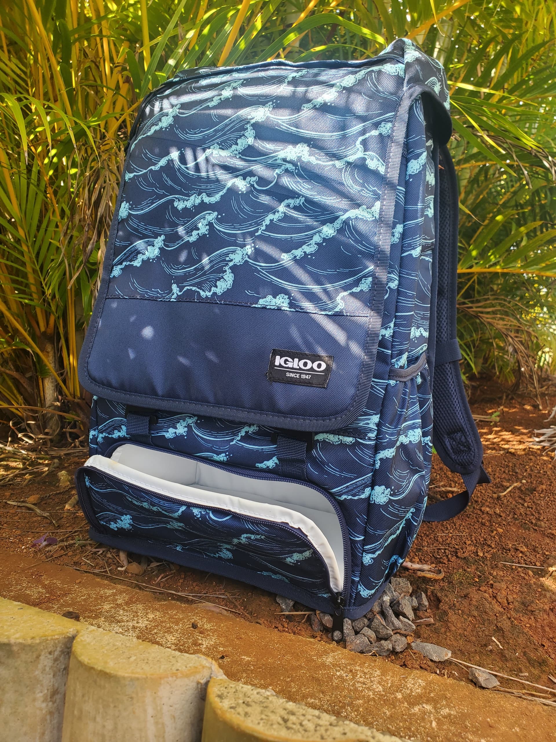 Kauai Ebikes Backpack Cooler Guide in Koloa