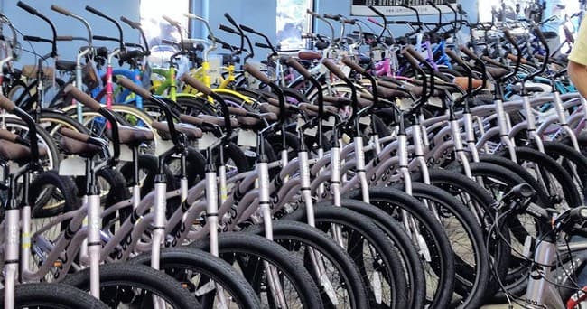 4 Hour Bike Rental