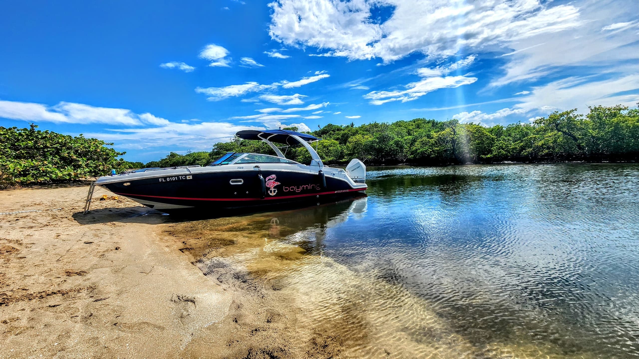 Bowrider beached on sandy mangrove inlet at low tide